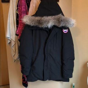 canada goose fur matted canada goose fur matted